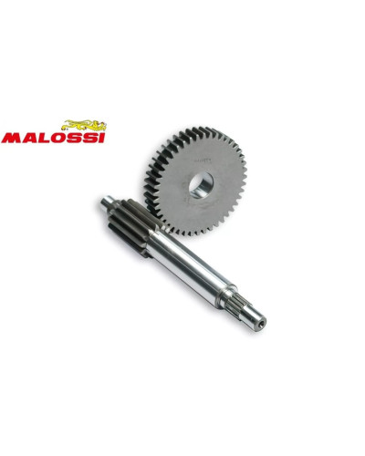 Transmission primaire Malossi 13/44 MBK Nitro Booster moteur Minarelli