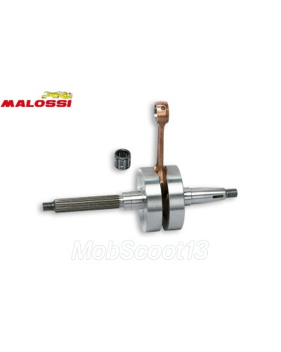 Vilebrequin Malossi MHR RHQ HPC Piaggio NRG Zip Gilera Stalker 2T AC LC