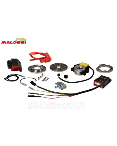 Allumage Malossi MHR Team 2 Selettra rotor interne sans éclairage Piaggio NRG Zip SP Gilera Runner LC 5519632
