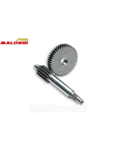 Transmission primaire Malossi HTQ 13/44 Minarelli horizontal Booster Nitro Aerox Ovetto 6714039
