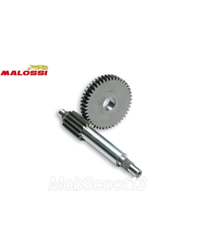Transmission primaire Malossi HTQ 13/44 Minarelli horizontal Booster Nitro Aerox Ovetto 6714039
