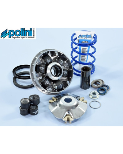 Variateur Polini Hi-Speed Evolution 2 241.750 Piaggio Zip Typhoon NRG canon 14,8 galets 19x15,5