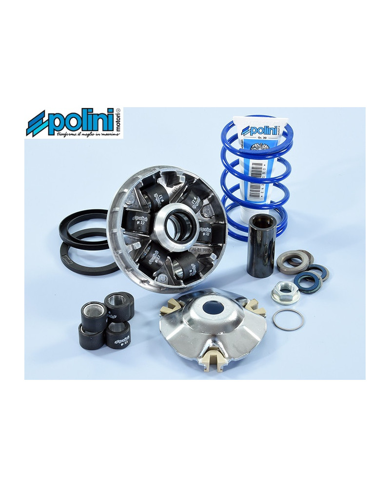 Variateur Polini Hi-Speed Evolution 2 241.750 Piaggio Zip Typhoon NRG canon 14,8 galets 19x15,5