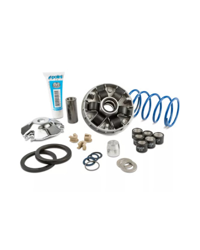 Variateur Polini Hi-Speed Evolution 2 241.750 Piaggio Zip Typhoon NRG canon 14,8 galets 19x15,5