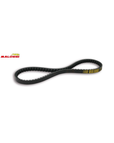 Courroie Malossi X Special Belt renforcée pour MBK 51 référence 6112745