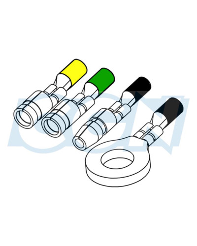 Allumage électronique Moriyama 12V pour MBK 51 et moteur Motobécane AV7