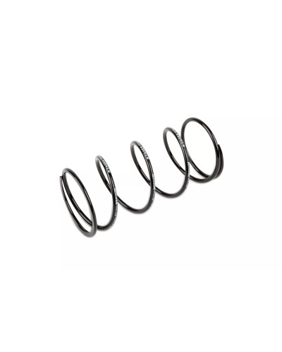 Variateur Stage6 Sport Pro Booster BW’s Slider Stunt Nitro