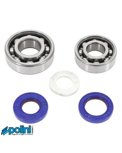 Kit roulements joints spi Polini Peugeot 101 102 103 104 GL10 GT10