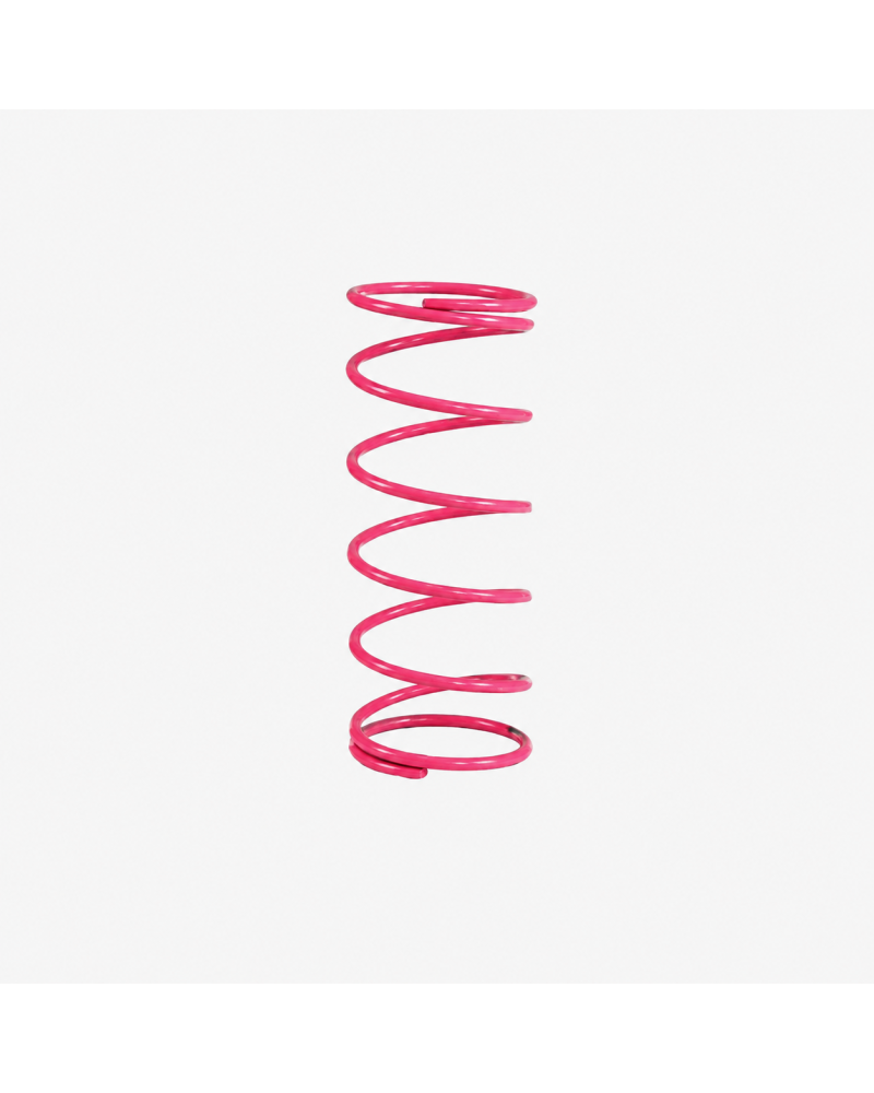 Ressort de variateur Top Perf rose +30% Booster Nitro SR50 F12