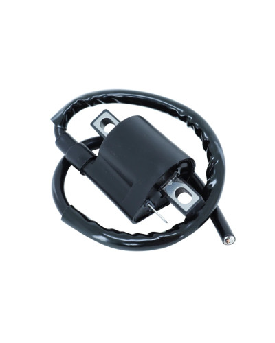Bobine d’allumage adaptable pour motos 50 à boîte et scooters Rieju, Sherco, Generic, MBK et Yamaha