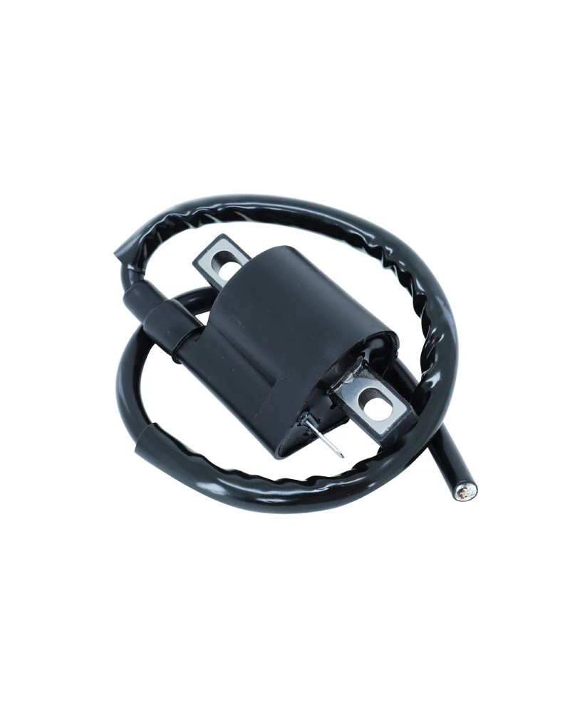 Bobine d’allumage adaptable pour motos 50 à boîte et scooters Rieju, Sherco, Generic, MBK et Yamaha
