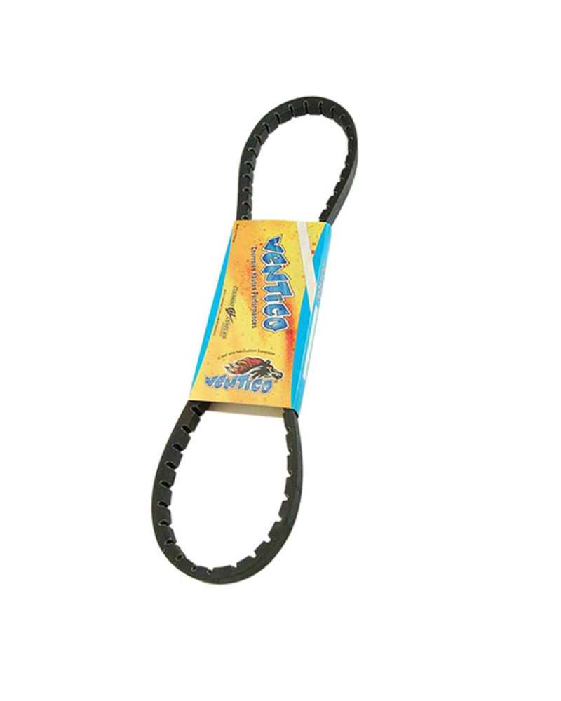 Courroie crantée Ventico D243CR Motobécane Motoconfort AV89 AU89 SP50 SPR D50 D89