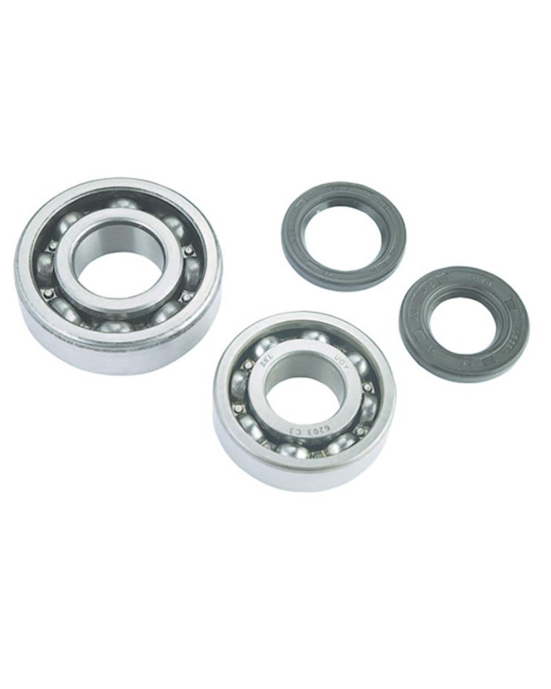 Roulements vilebrequin + joints spi Peugeot 103 6203 C3 6204 C3 cage acier